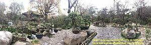 Chendgu 010